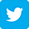 twitter-logo